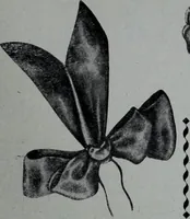 An illustration from Tissus et nouveauts 1907 (1907)