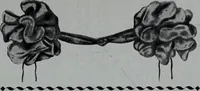 Picture 33 of 480 from Tissus et nouveauts 1907 (1907), leaf 56