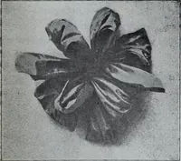An illustration from Tissus et nouveauts 1907 (1907)