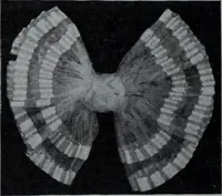 An illustration from Tissus et nouveauts 1907 (1907)