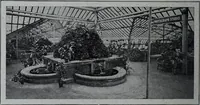 An illustration from Tissus et nouveauts 1907 (1907)