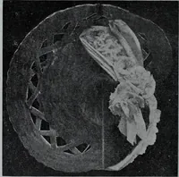 An illustration from Tissus et nouveauts 1907 (1907)