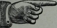 An illustration from Tissus et nouveauts 1908 (1908)