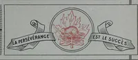 Picture 150 of 414 from Tissus et nouveauts 1908 (1908), leaf 294