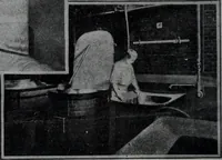 An illustration from Tissus et nouveauts 1908 (1908)