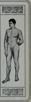 An illustration from Tissus et nouveauts 1908 (1908)