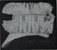 An illustration from Tissus et nouveauts 1908 (1908)