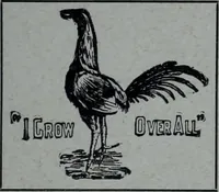An illustration from Tissus et nouveauts 1908 (1908)