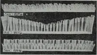 Picture 339 of 414 from Tissus et nouveauts 1908 (1908), leaf 587