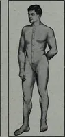 An illustration from Tissus et nouveauts 1908 (1908)