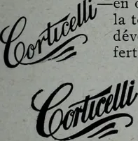 An illustration from Tissus et nouveauts 1909 (1909)
