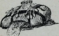 An illustration from Tissus et nouveauts 1909 (1909)