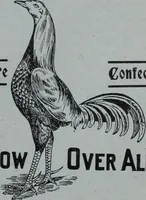 Picture 264 of 493 from Tissus et nouveauts 1909 (1909), leaf 338