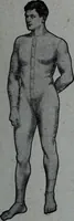 An illustration from Tissus et nouveauts 1909 (1909)