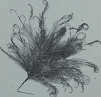 An illustration from Tissus et nouveauts 1909 (1909)
