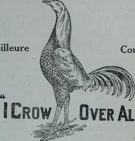 An illustration from Tissus et nouveauts 1909 (1909)