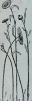 An illustration from Tissus et nouveauts 1909 (1909)