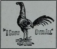 An illustration from Tissus et nouveauts 1909 (1909)