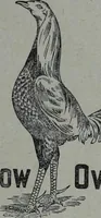 An illustration from Tissus et nouveauts 1910 (1910)
