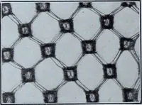 An illustration from Tissus et nouveauts 1910 (1910)