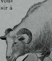 Picture 376 of 413 from Tissus et nouveauts 1910 (1910), leaf 482