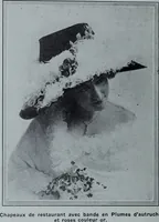 An illustration from Tissus et nouveauts 1910 (1910)