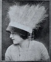 An illustration from Tissus et nouveauts 1911 (1911)