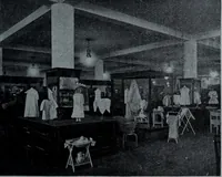 An illustration from Tissus et nouveauts 1911 (1911)