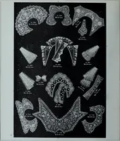 Picture 95 of 257 from Tissus et nouveauts 1913 (1913), leaf 119