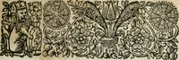 An illustration from Titles of honor (1672)