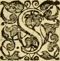 An illustration from Tituli Calvinistarum, collecti, in ordinem redacti, et explicati (1614)