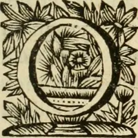 Picture 5 of 21 from 't Konstigh cyffer-voek van Mr. Jean Coutereels : met volkomene uytwerkingh aller questien, en byvoegingh van veelerley andere soo noodige als konstige opgevingen (1690), leaf 12