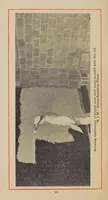 An illustration from Toch Brothers "Red book" on damp-resisting paints, compounds and specialties (1912)