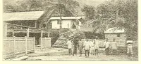 An illustration from Togo unter deutscher Flagge Reisebilder und Betrachtungen (1899)