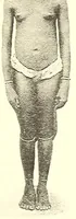 An illustration from Togo unter deutscher Flagge Reisebilder und Betrachtungen (1899)