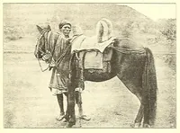 An illustration from Togo unter deutscher Flagge Reisebilder und Betrachtungen (1899)