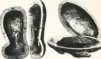 Picture 57 of 105 from Tomb of Yuaa and Thuiu (1908), leaf 142