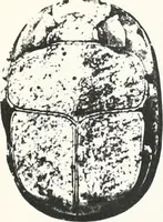 Picture 90 of 105 from Tomb of Yuaa and Thuiu (1908), leaf 194