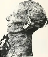 An illustration from Tomb of Yuaa and Thuiu (1908)
