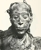 Picture 104 of 105 from Tomb of Yuaa and Thuiu (1908), leaf 214