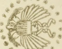 Picture 1 of 65 from To the moon and back in ninety days : a thrilling narrative of blended science and adventure (1922), leaf 1