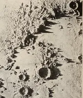 Picture 44 of 65 from To the moon and back in ninety days : a thrilling narrative of blended science and adventure (1922), leaf 153