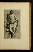 Picture 17 of 25 from Toneel van Sinnebeelden : geopent tot Dienst van Schilders Beelthouders etc (1700), leaf 83