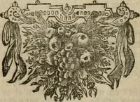 Picture 15 of 45 from Tooneel des oorlogs, opgerecht in de Vereenigde Nederlanden : door de wapenen van de koningen van Vrankryk en Engeland, Keulsche en Munstersche Bisschoppen : tegen de Staten der Vereenigde Nederlanden, en hare geallieerden ... (1675), leaf 327