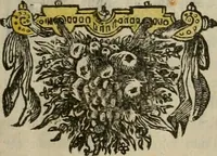 An illustration from Tooneel des oorlogs, opgerecht in de Vereenigde Nederlanden : door de wapenen van de koningen van Vrankryk en Engeland, Keulsche en Munstersche Bisschoppen : tegen de Staten der Vereenigde Nederlanden, en hare geallieerden ... (1675)