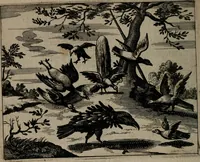 An illustration from Toonneel des menschelikken levens : Of de vernieuwde gulden winkel ; waer in door poëtische, historische, morale, en schriftuurlikke leeringen, den mensche vertoont werdt, hoedanigh hy zijn leven, handel, en wandel, zediglik, eerbaarlik en vermakelik fal overbrengen (1661)
