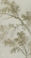 An illustration from Topographia Saxoniæ Inferioris : das ist, Beschreibung der vornehmsten Stätte vnnd Plätz in dem hochl. Nider Sachss., Craÿss (1653)