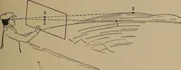 An illustration from Topographic maps and sketch mapping (1920)