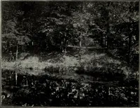 An illustration from Topographie der historischen und Kunst-Denkmale im politischen Bezirke Pribram (1902)