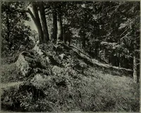 An illustration from Topographie der historischen und Kunst-Denkmale im politischen Bezirke Pribram (1902)